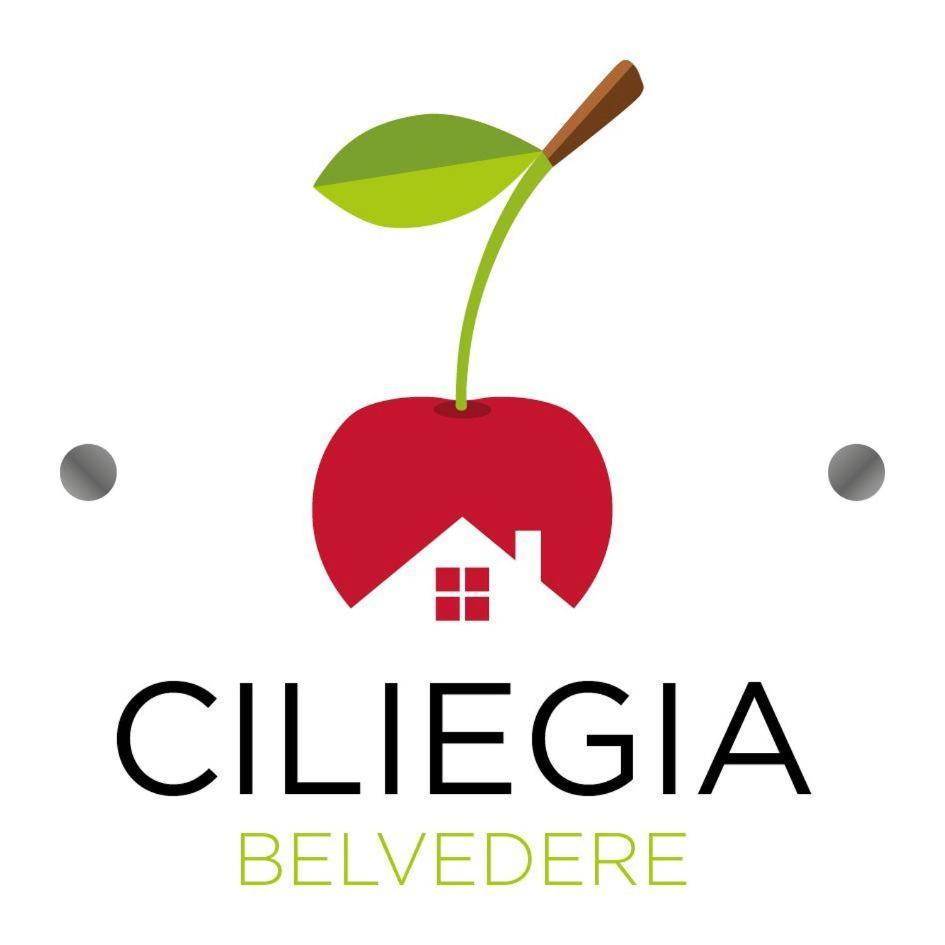 Ciliegia Di Lari - Attico Villa Dış mekan fotoğraf